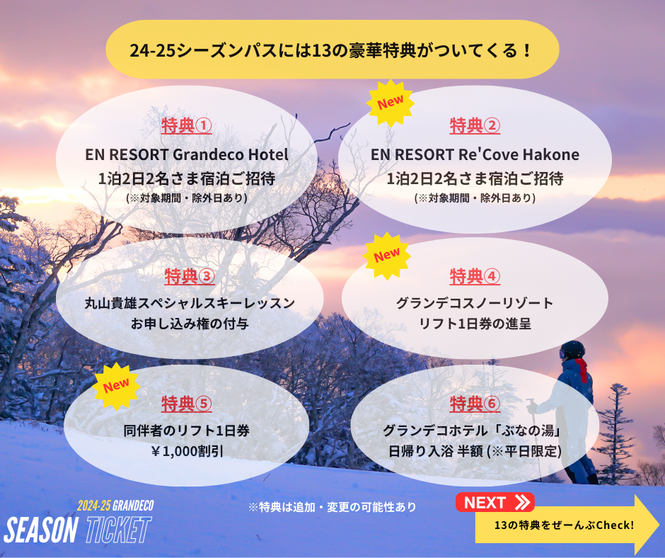 グランデコ　エンリゾート　リフト1日券 3枚セット グランデコ エンリゾート リフト1日券 3枚セット グランデコ エン